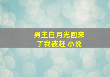 男主白月光回来了我被赶 小说